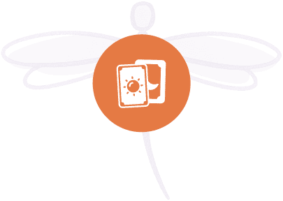 Silhouette dragonfly with orange card icon.